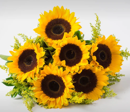 Buquê de Girassóis