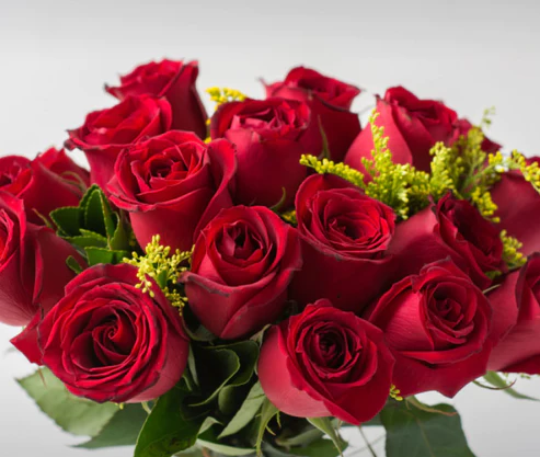 Buquê de Rosas Vermelhas 20 Unidades - Imagem 3